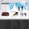 Website for insurance company